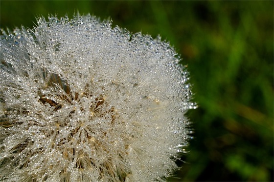 激励高中生学习的小句子