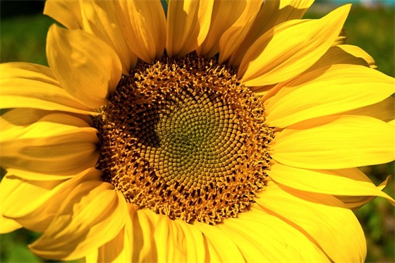 闭口粉刺感情的霸气句子 闭口不谈感情的句子