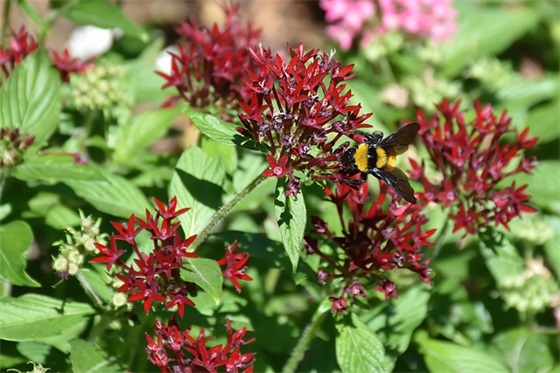 心情很乱的伤感句子