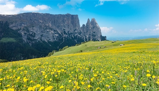 关于泉水的优美句子