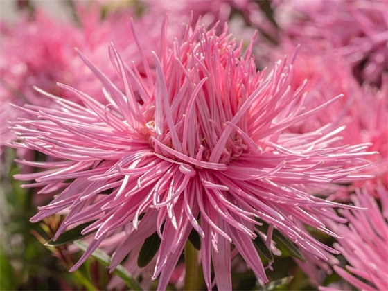 珍惜现在的句子，珍惜现在所拥有的句子精选