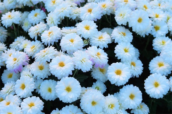 温柔到让人心疼的短句子