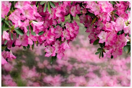 祝福发财的幽默句子文案