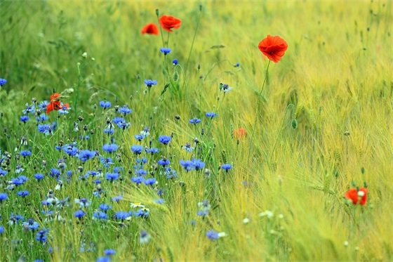 明信片寄语正能量友情简短(适合写卡片的温暖句子)