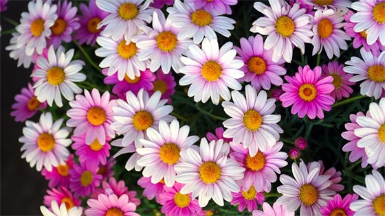 适合早上发圈的正能量句子