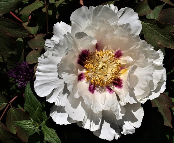 快乐周末的句子 形容美好周末的句子