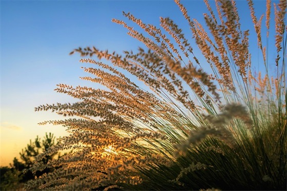 祝福祖国繁荣昌盛的话修辞手法