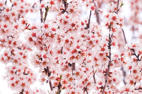 给自己女儿生日祝福语 发朋友圈女儿生日感言