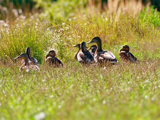祝宝宝满月祝福语字