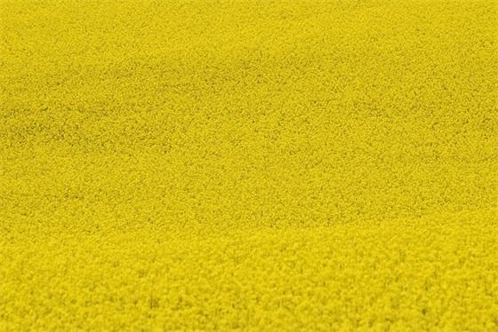 东北话祝福人的话语