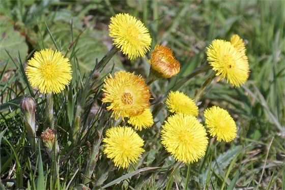 孩子学业的祝福语 孩子学业有成的祝福语