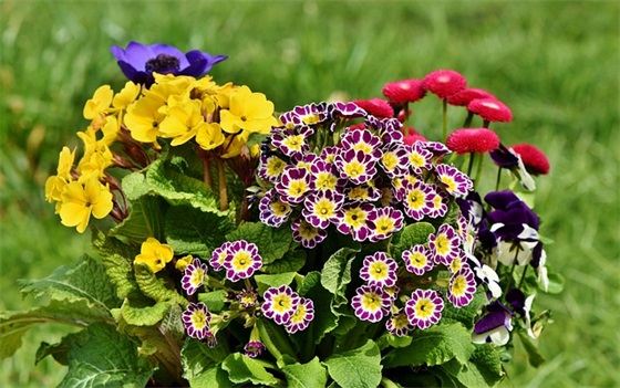 对朋友女儿结婚祝福语