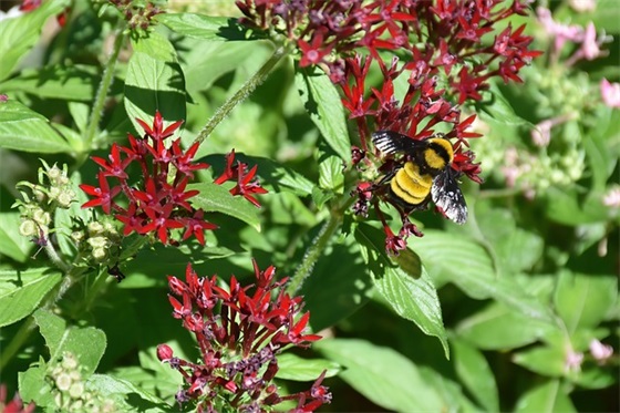 孩子生日的祝福语 祝福小孩子生日的祝福语