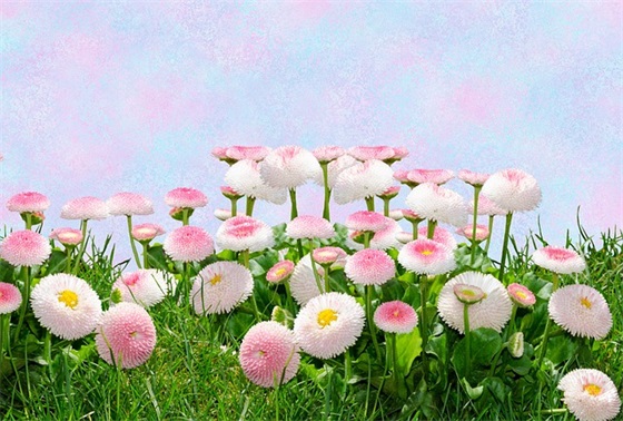 适合跨年和情人说的祝福语 送给情人的元旦祝福