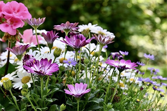 2026劳动节朋友圈创意祝福语精选