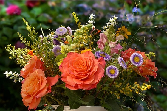 打麻将赢钱祝福语