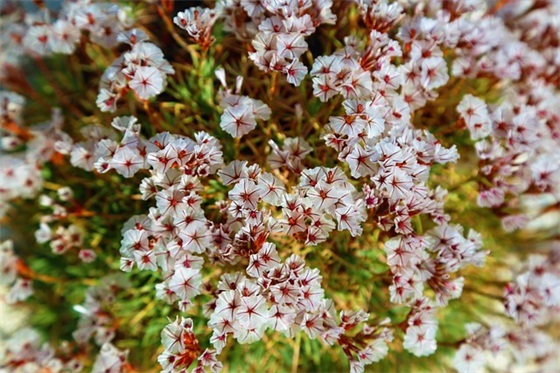 爱情遗憾错过的句子