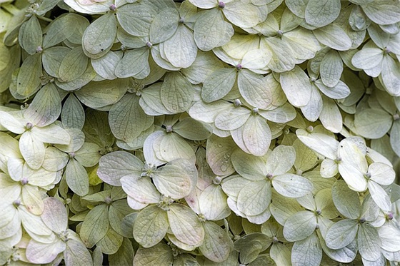 话励志正能量句子 精辟话正能量