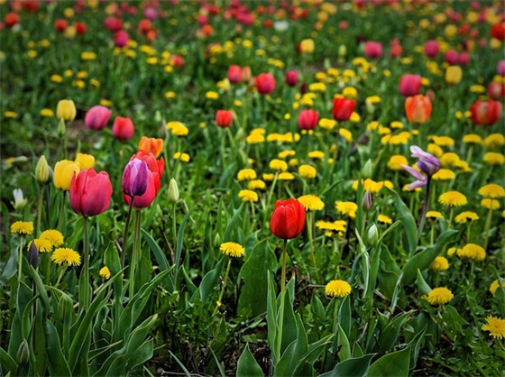 关于早上好的句子 充满阳光的清晨问候语