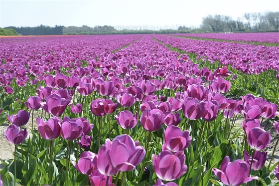 好心态正能量的句子致自己(致自己正能量的句子)