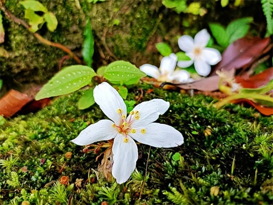 分手最体面的告别句子 分手好聚好散的句子
