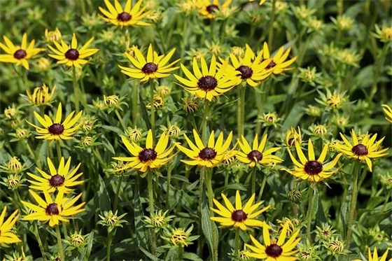 感叹时光匆匆的人生感悟句子汇总