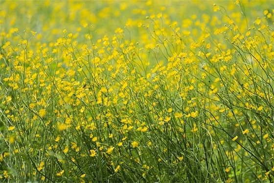 2026年成功激励人生的句子