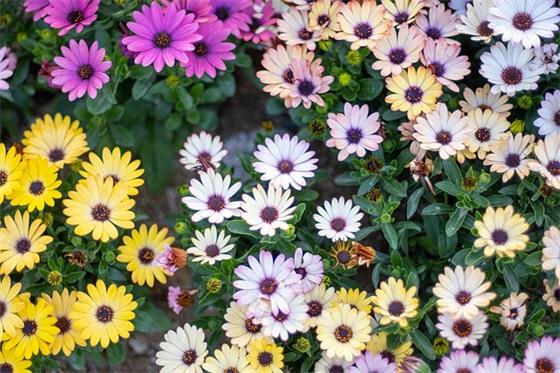 清晨励志话 早上简短的励志句子精选