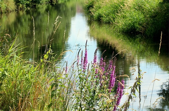 感慨人生无奈的句子