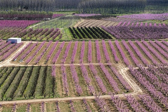 表达很失落的句子