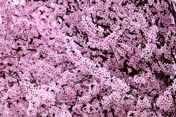 表达思念的句子文案 表达思念的文案