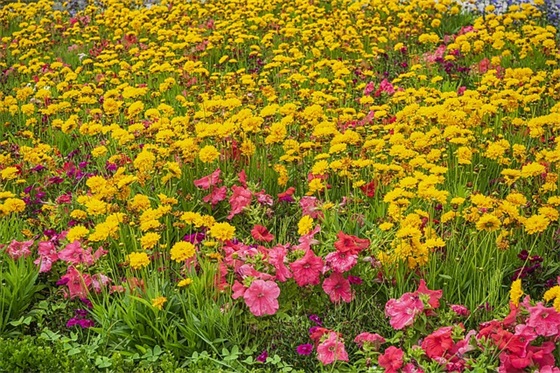 最新的悲痛欲绝的句子大全 悲痛欲绝的句子