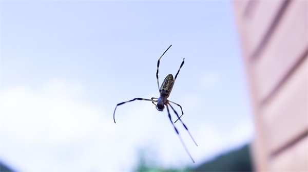 2026年祝元旦快乐的QQ祝福语