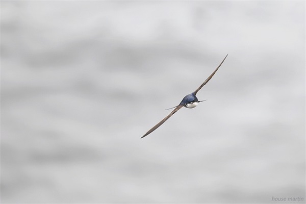 2026歌颂建国70周年现代诗词(2026国庆节表白祝福祝福祖国成立建)