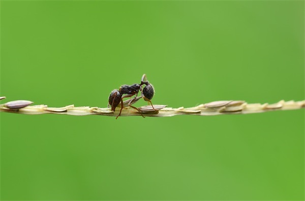 六一儿童节美好的祝福文案2026年