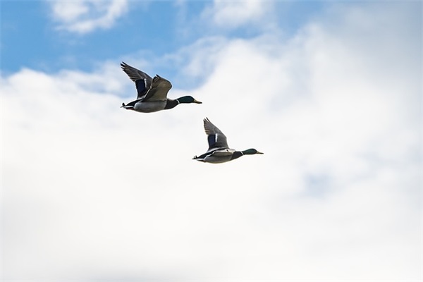 退休教师祝福语