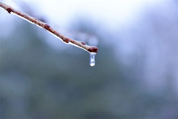 发给车主的祝福语39句