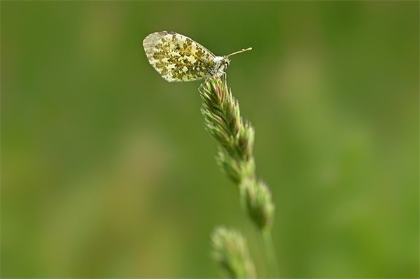 女儿八周岁祝福语30句