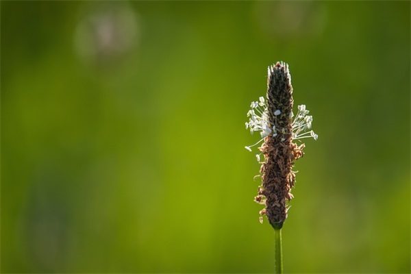 考试成功的祝福语