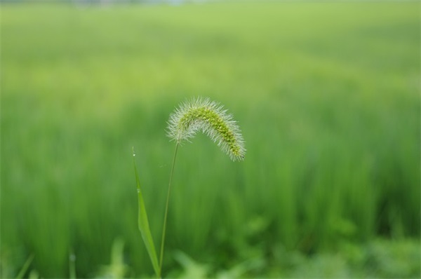 25岁生日说说 25岁生日祝福语