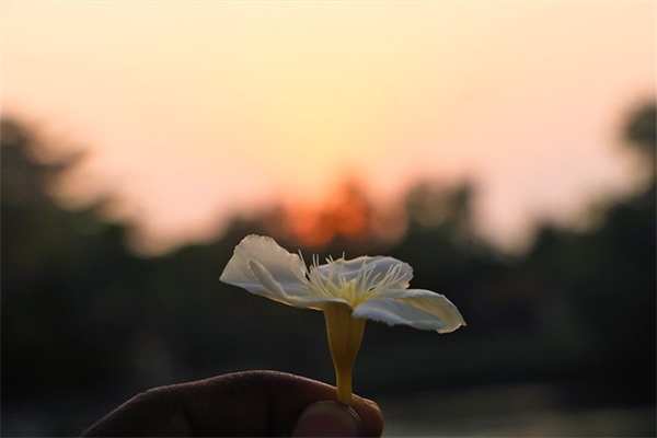 天官赐福中励志的句子