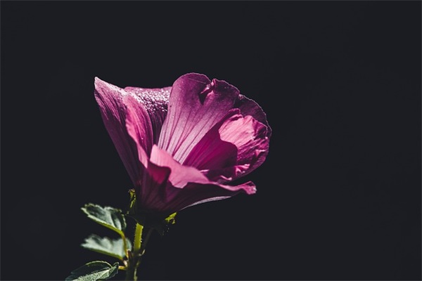 关于小学生最新关于心情不好时的句子