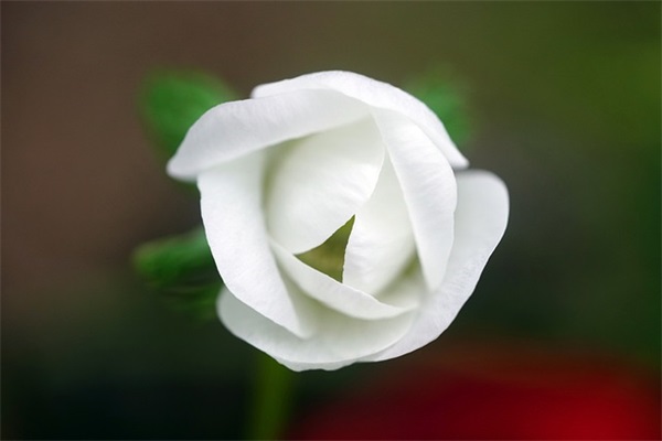 2026激励人的句子 2026年句子大全