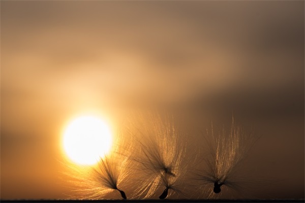 表达心里话心情的句子