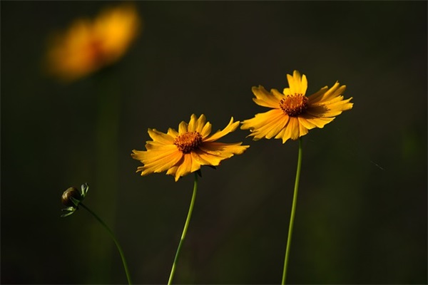 超级搞怪的幽默句子 评价超高的搞笑神回复