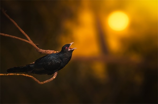 精选的表示很开心的句子大全(表示玩得很开心的句子)