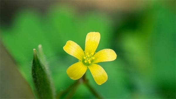 描写景物的伤感句子