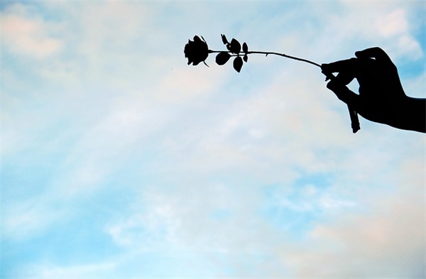 2026年表达对公司感恩的句子