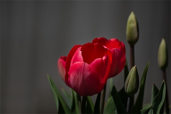 不配另一方的悲伤句子 你不配的霸气句子