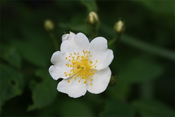 睡觉被吵醒很不爽的句子心情短语